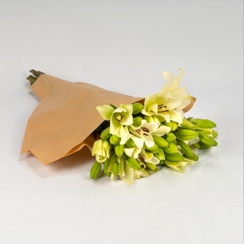 Lilium blanca (10 tallos)