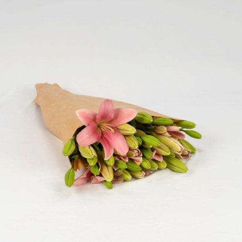 Lilium rosa (10 tallos)