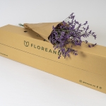 Miniatura de Limonium Morado