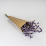 Miniatura de Limonium Morado