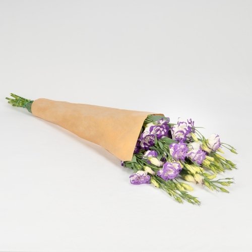 Lisianthus blanca/violeta (5 tallos)