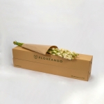 Miniatura de Nardos (10 tallos)