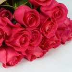 Miniatura de Rosas premium fucsias (25 tallos)
