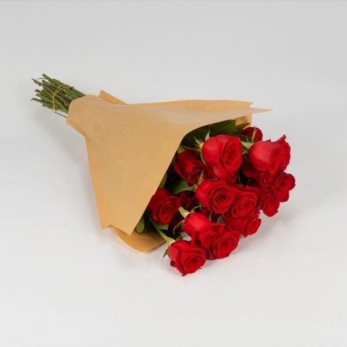Rosas premium rojas (25 tallos)