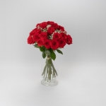 Miniatura de Rosas premium rojas (25 tallos)