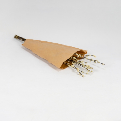 Salix Florecido (10 tallos)