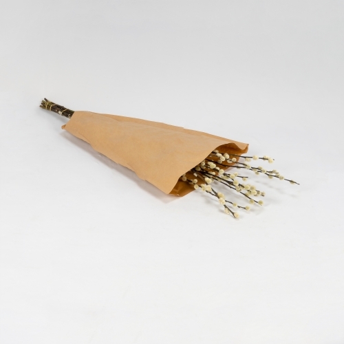 Salix Florecido (10 tallos)