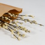 Miniatura de Salix Florecido (10 tallos)
