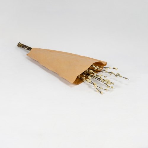 Salix Florecido (10 tallos)