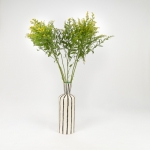 Miniatura de Solidago
