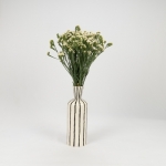 Miniatura de Statice blanca (5-7 tallos)