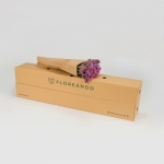 Miniatura de Statice fucsia (5-7 tallos)