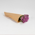 Miniatura de Statice fucsia (5-7 tallos)