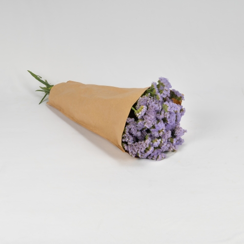 Statice malva (5-7 tallos)