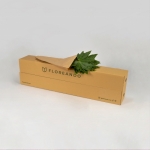 Miniatura de Aralia (10 tallos)