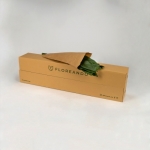 Miniatura de Aspidistra