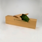 Miniatura de Chico Jumbo (20 tallos)