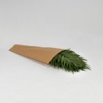 Miniatura de Chico Jumbo (20 tallos)