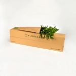 Miniatura de Ruscus (10 tallos)